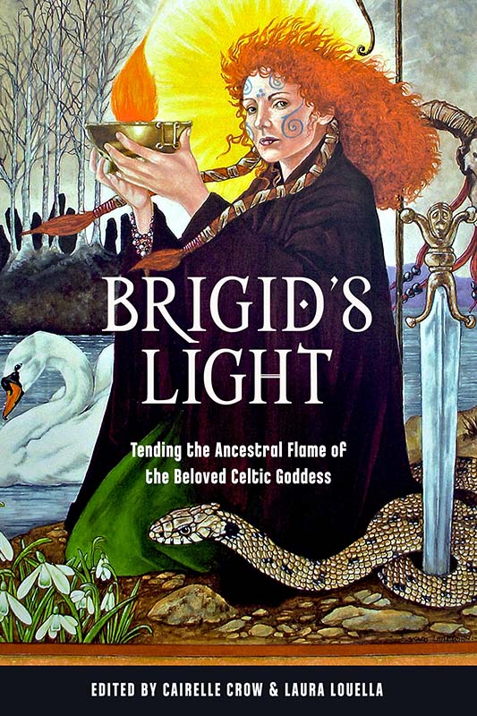 Brigid's Light New Book